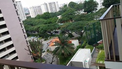 eCO (D16), Condominium #170272062